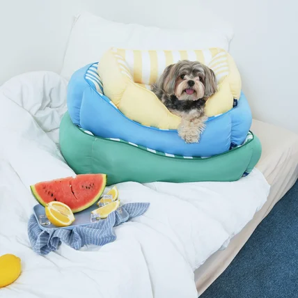 포트폴리오-[섭외/촬영] 모던하우스 강아지 고양이 쿨방석 여름쿠션 제품촬영