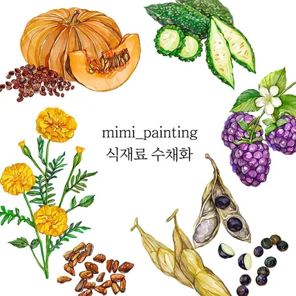 포트폴리오-H 로컬 가공 조합 패키지를 위한 일러스트