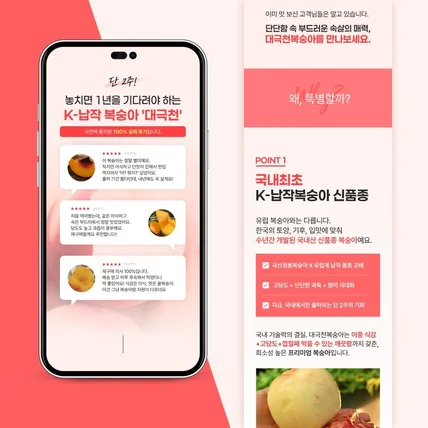 포트폴리오-복숭아 상세페이지/농산물상세페이지제작