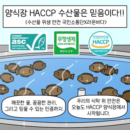 포트폴리오-라온바다 / 홍보툰