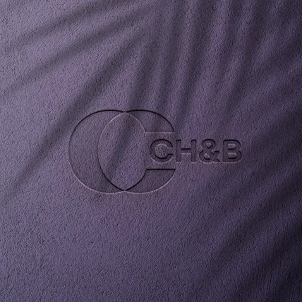 포트폴리오-CH&B CI 제작