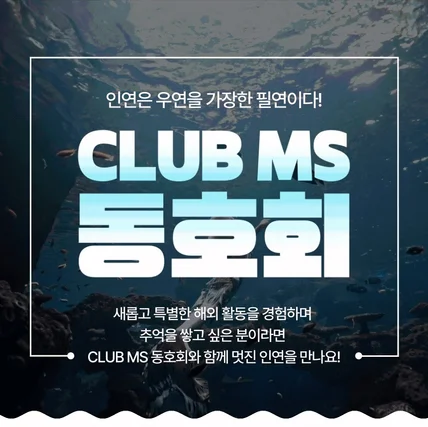 포트폴리오-다이빙 동호회 N스토어 상세페이지 GIF이미지 제작