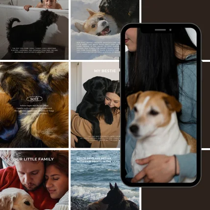 포트폴리오-펫인패밀리 라이프스타일 브랜드 피드 스타일링