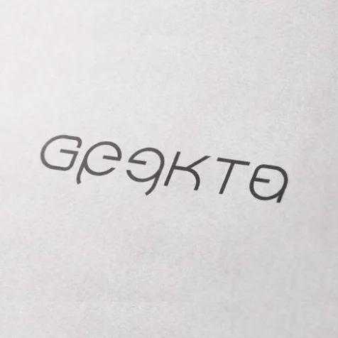 포트폴리오-GEEKTA 로고디자인