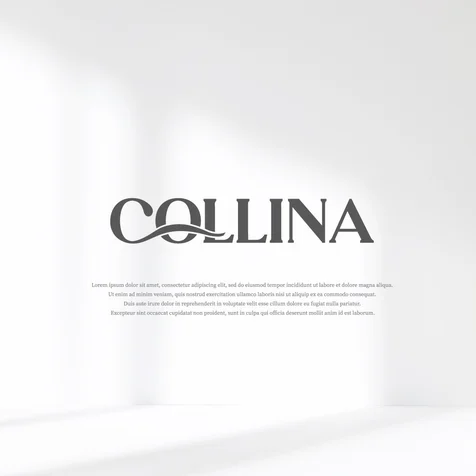 포트폴리오-로고 디자인 [MAISON COLLINA]