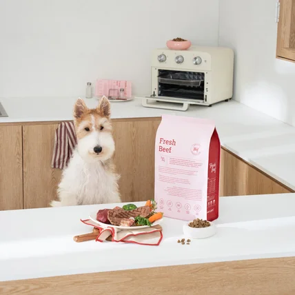 포트폴리오-[섭외/촬영/보정] 본아페티 강아지 소고기 수제사료 연출 제품 촬영