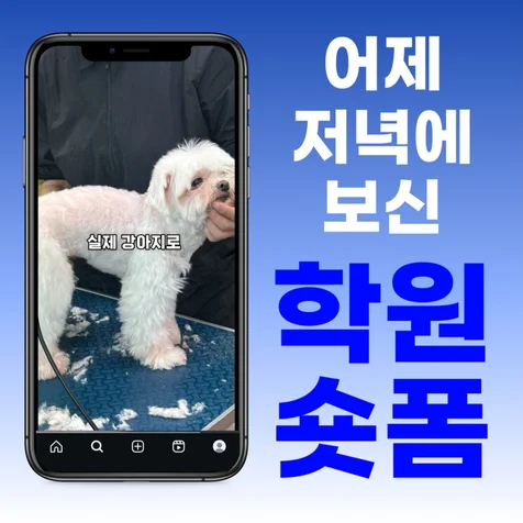 포트폴리오-학원 숏폼