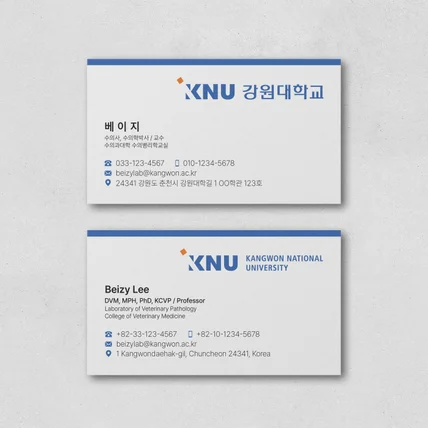 포트폴리오-강원대학교 교수님 양면 영문 명함디자인