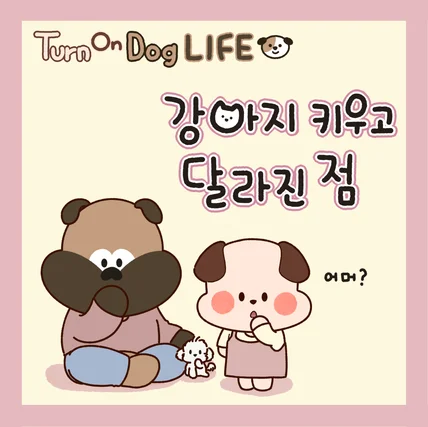 포트폴리오-브랜드 공식계정 인스타툰 정기 연재(라비앙독)