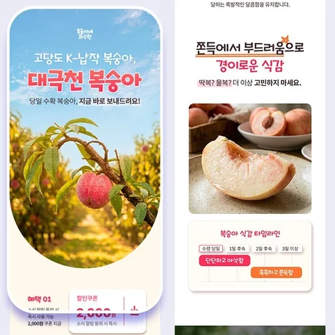 포트폴리오-[농수산물 상세페이지] 복숭아 상세페이지 디자인 + 기획