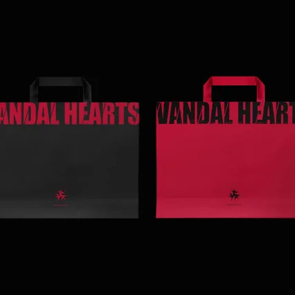 포트폴리오-Vandal hearts