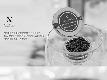 포트폴리오-니피엘 쇼핑몰