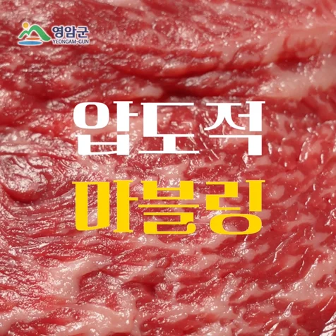 포트폴리오-(기획 / 촬영 / 편집 ) 영암한우 홍보영상제작