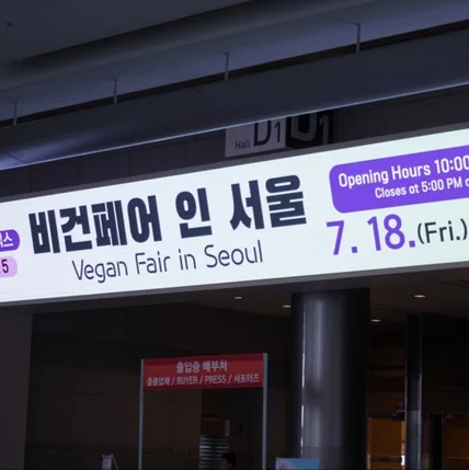 포트폴리오-[행사 사진] 비건페어 행사 사진