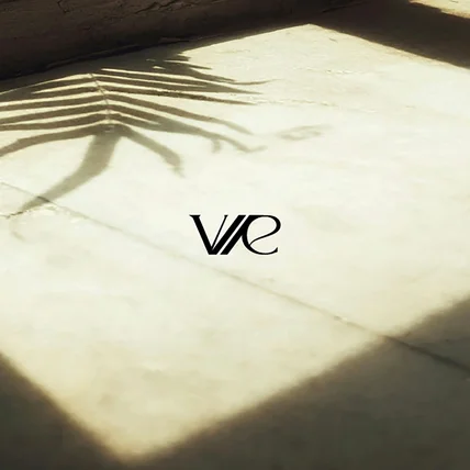 포트폴리오-코스메틱 브랜드, virelle비렐