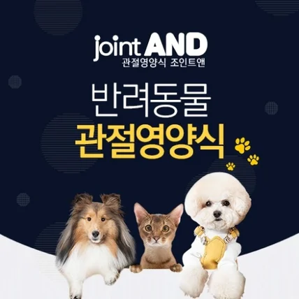 포트폴리오-관절영양식 조인트앤
