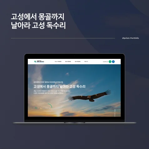 포트폴리오-고성에서 몽골까지 날아라 고성 독수리