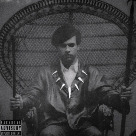 포트폴리오-Black Panther The Album 리디자인