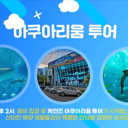 포트폴리오-[모션그래픽] 암웨이 비전트립 세미나 소개 영상