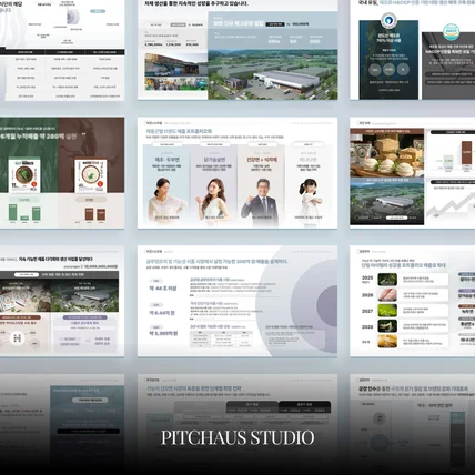 포트폴리오-정부사업발표, PT발표, PPT디자인, 제안서제작, IR제작, IR DECK, 제안서디자인