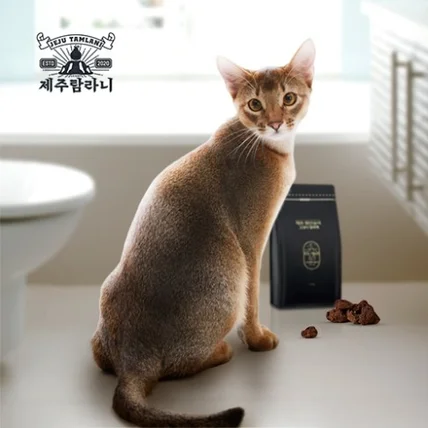 포트폴리오-제주 탐라니 스코리에어 제로 캣 고양이 탈취제