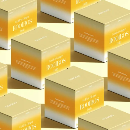 포트폴리오-Dayholi