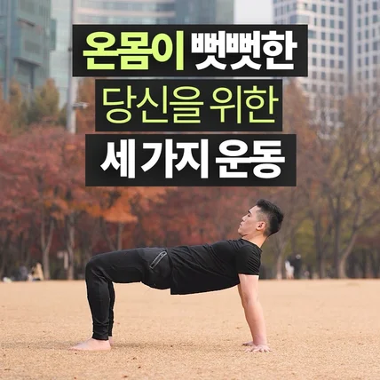 포트폴리오-유튜브 채널 제프 코치의 "온몸이 뻣뻣한 당신을 위한 세 가지 운동"