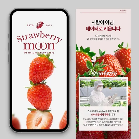 포트폴리오-딸기 상세페이지 제작 - [ 상세페이지 기획 / 제품 촬영 / 상세페이지 디자인 ]