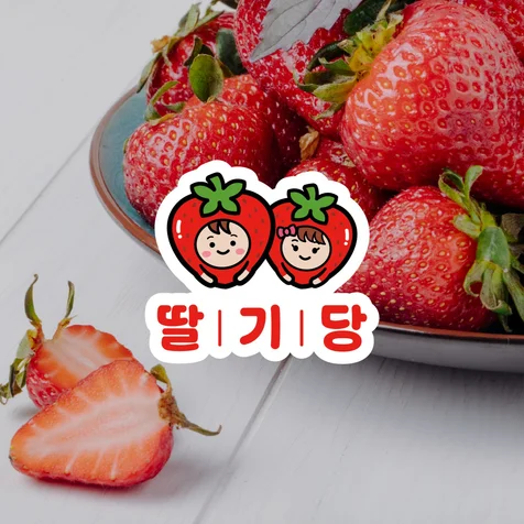 포트폴리오-딸기농장 로고디자인