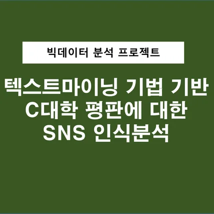 포트폴리오-빅데이터 분석 프로젝트 텍스트마이닝 기법 기반  C대학 평판에 대한  SNS 인식분석