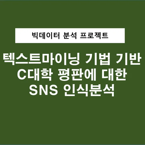 포트폴리오-빅데이터 분석 프로젝트 텍스트마이닝 기법 기반  C대학 평판에 대한  SNS 인식분석