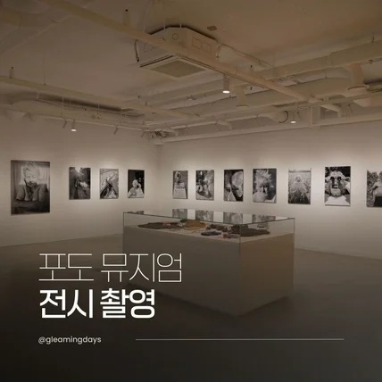 포트폴리오-포도뮤지엄 ‘어쩌면 아름다운 날들’ 전시 촬영