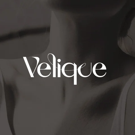 포트폴리오-Velique