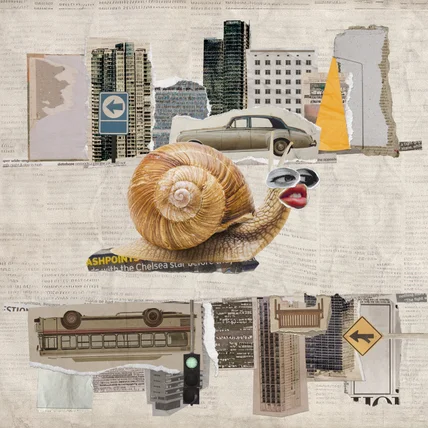 포트폴리오-팔칠댄스-도시달팽이 앨범커버 제작