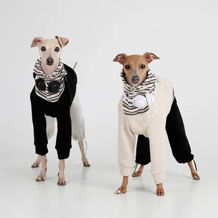 포트폴리오-[촬영/조명/보정] 25 F/W 의류촬영