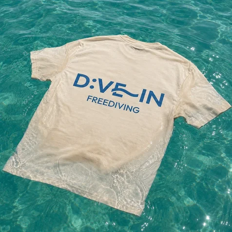 포트폴리오-[프리다이빙 교육업체 로고] DIVEIN 텍스트로고 디자인