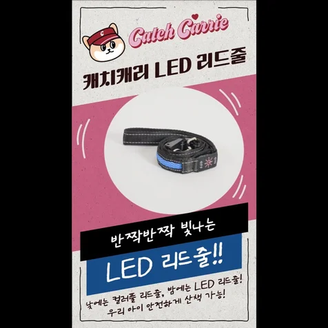 포트폴리오-[편집] 캐치캐리 LED 리드줄 홍보 숏폼 영상