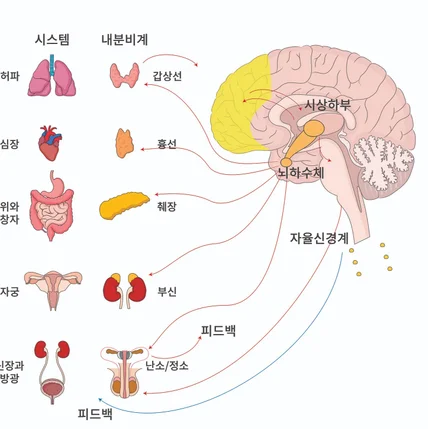 포트폴리오-요가호흡, 프라나야마 담앤북스 출판일러스트