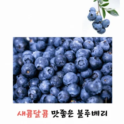 포트폴리오-블루베리 상세페이지