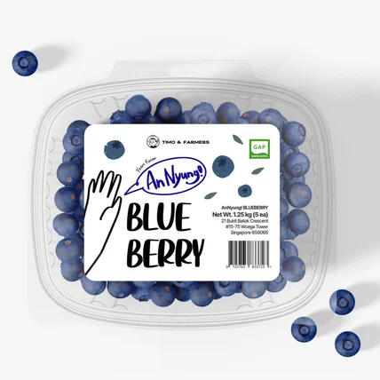 포트폴리오-블루베리 라벨 디자인