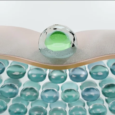 포트폴리오-[3D 영상] 비플레인' 시카 성분 흡수 소구포인트 3D GIF 영상