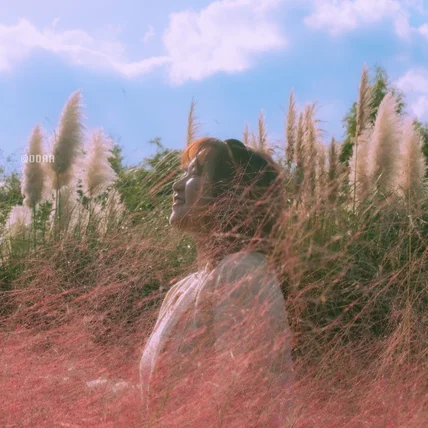 포트폴리오-[촬영/보정] 2024.10 태안 바람새공원 개인 스냅사진