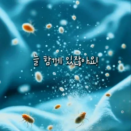 포트폴리오-[촬영/편집/모델] 실내 가전제품 침구류 청소기 릴스 숏폼 홍보영상 제작