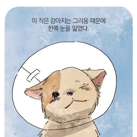 포트폴리오-청림출판사 <떠난 후에 남겨진 것들> 홍보 웹툰