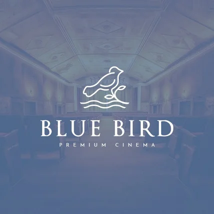 포트폴리오-BLUE BIRD