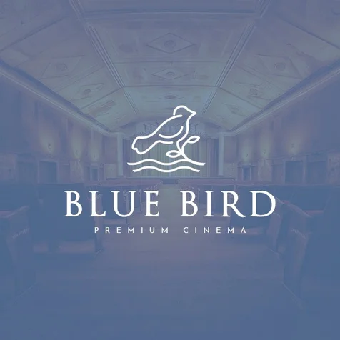 포트폴리오-BLUE BIRD