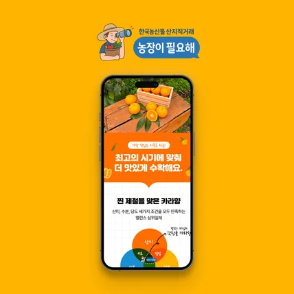 포트폴리오-천혜향 상세페이지