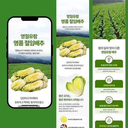포트폴리오-절임배추(농산물) 상세페이지