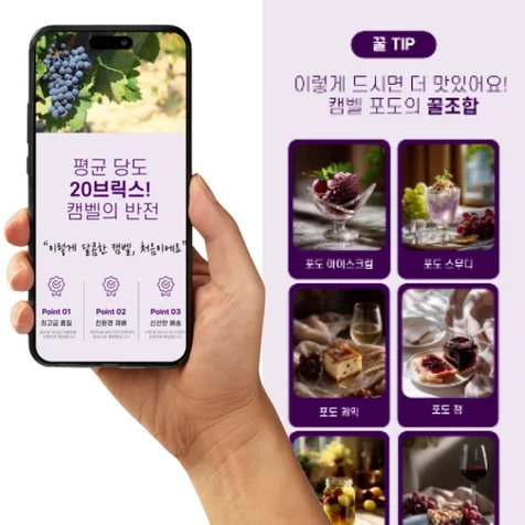 포트폴리오-상세페이지 | 상세페이지제작 | 상세페이지기획 | 상세페이지디자인 | 쿠팡 | 스마트스토어
