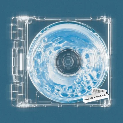 포트폴리오-BLUE WHAILL - FRESH AIR 앨범커버